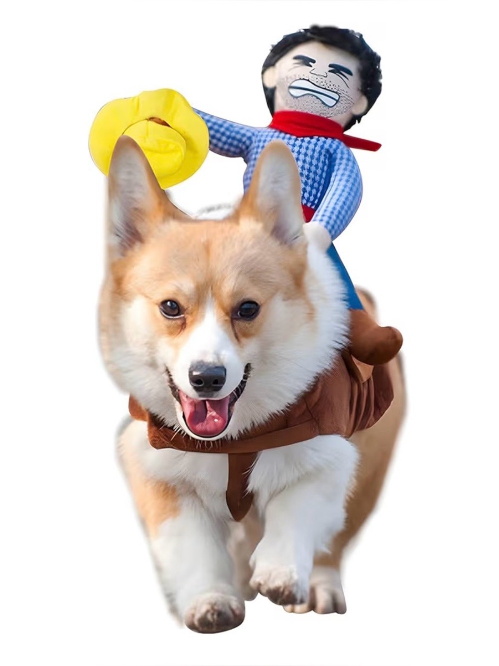 Cowboy rider dog costume